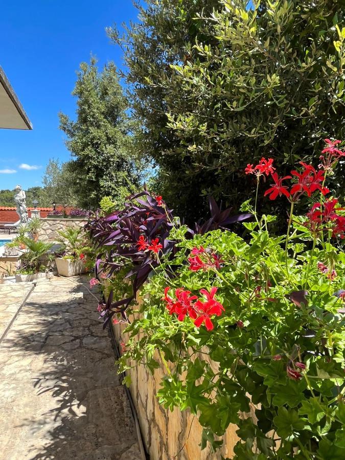 Apartment With Swimming Pool Jelsa  Exterior photo