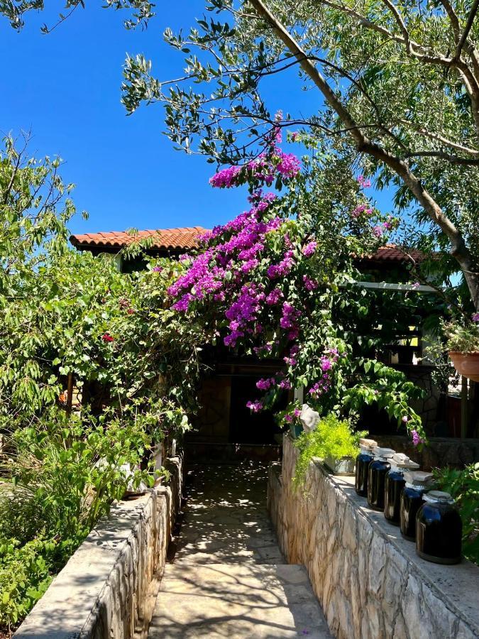 Apartment With Swimming Pool Jelsa  Exterior photo